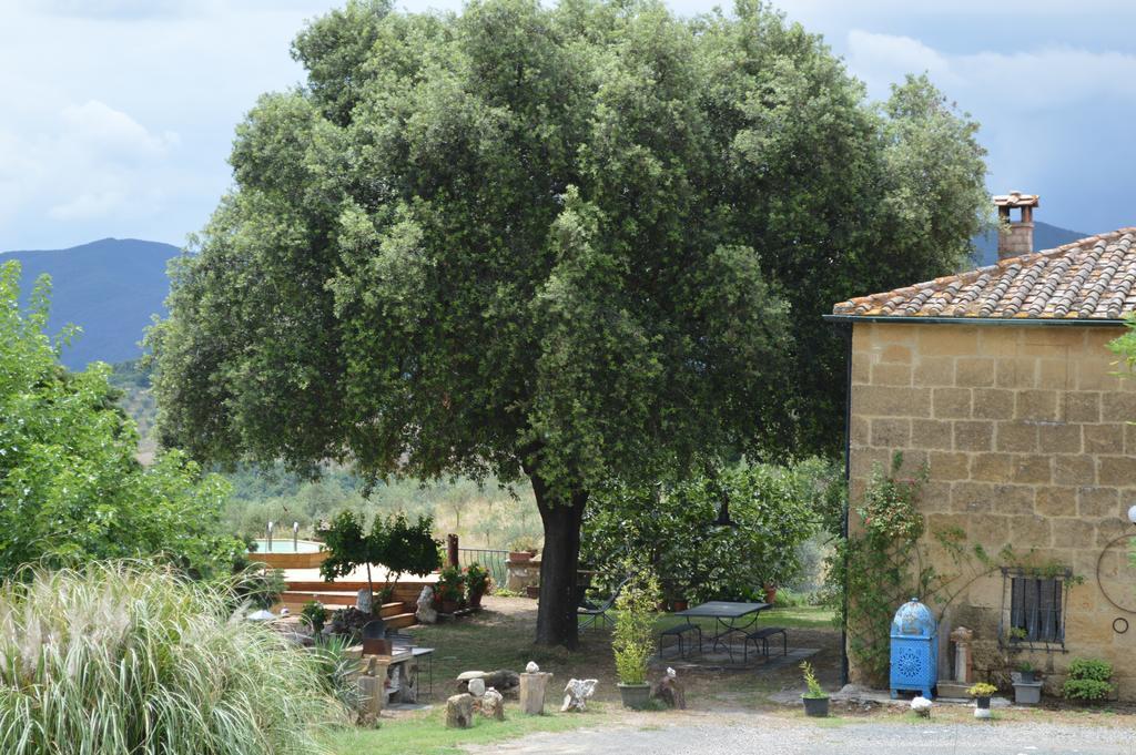 Agri-Bio Podere Santa Palmira Pomarance Buitenkant foto